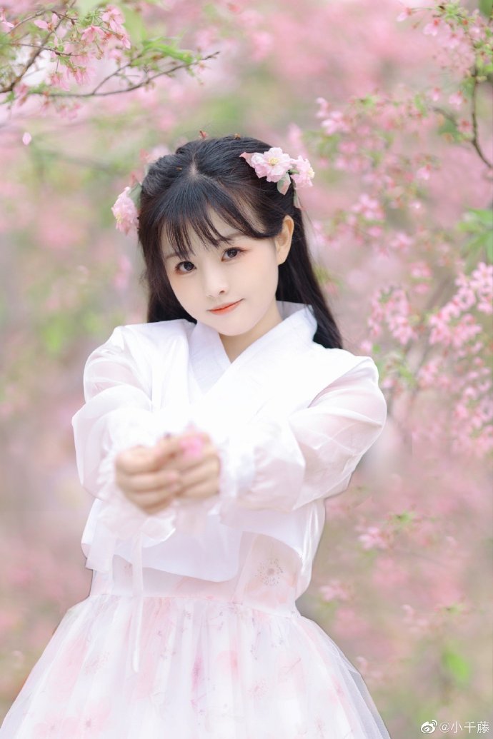 少年法庭 封面